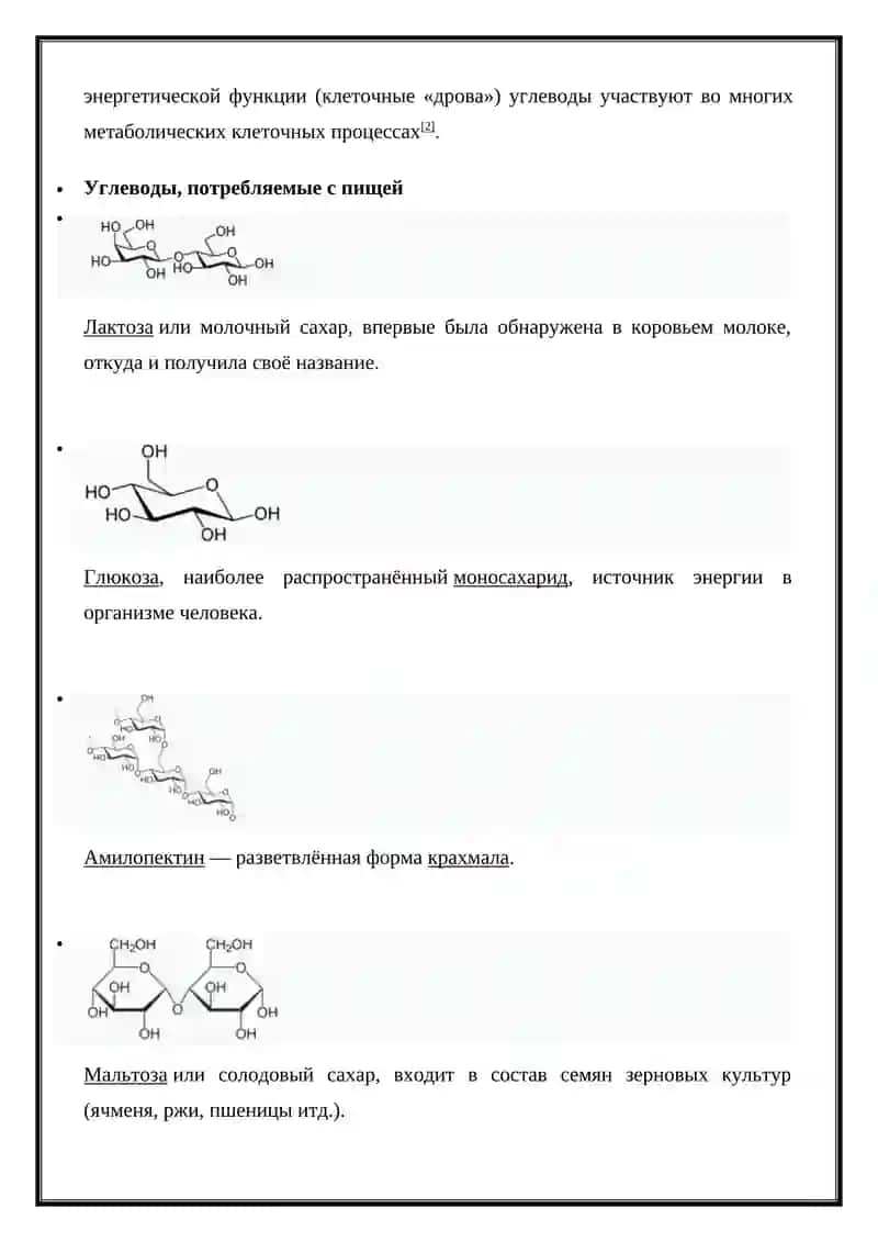 Углеводы. Структура и функции. 2