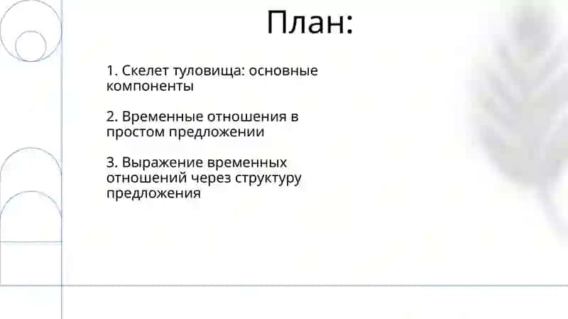 Скелет туловища выражение временных отношений в простом предложении 2