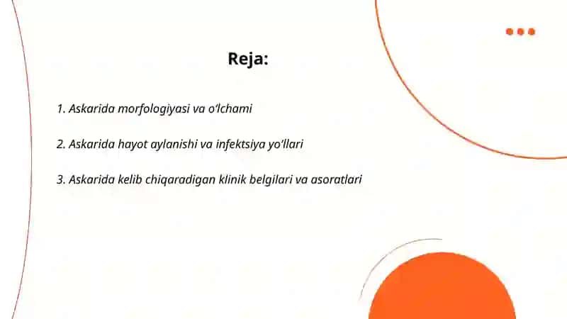 Askarida morfologiyasi va o‘lchami 2