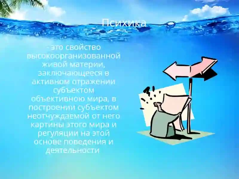 Введение в психологию: эволюционное развитие психики 2