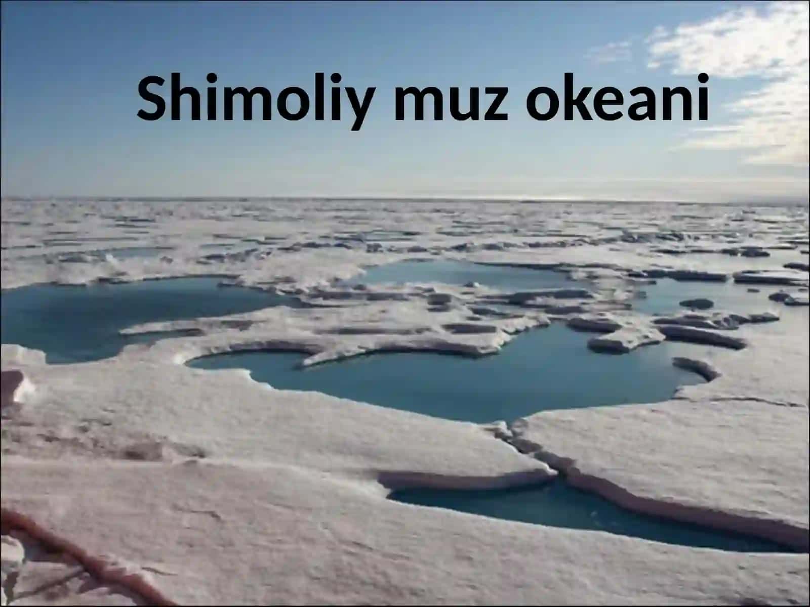 Shimoliy muz okeani 2