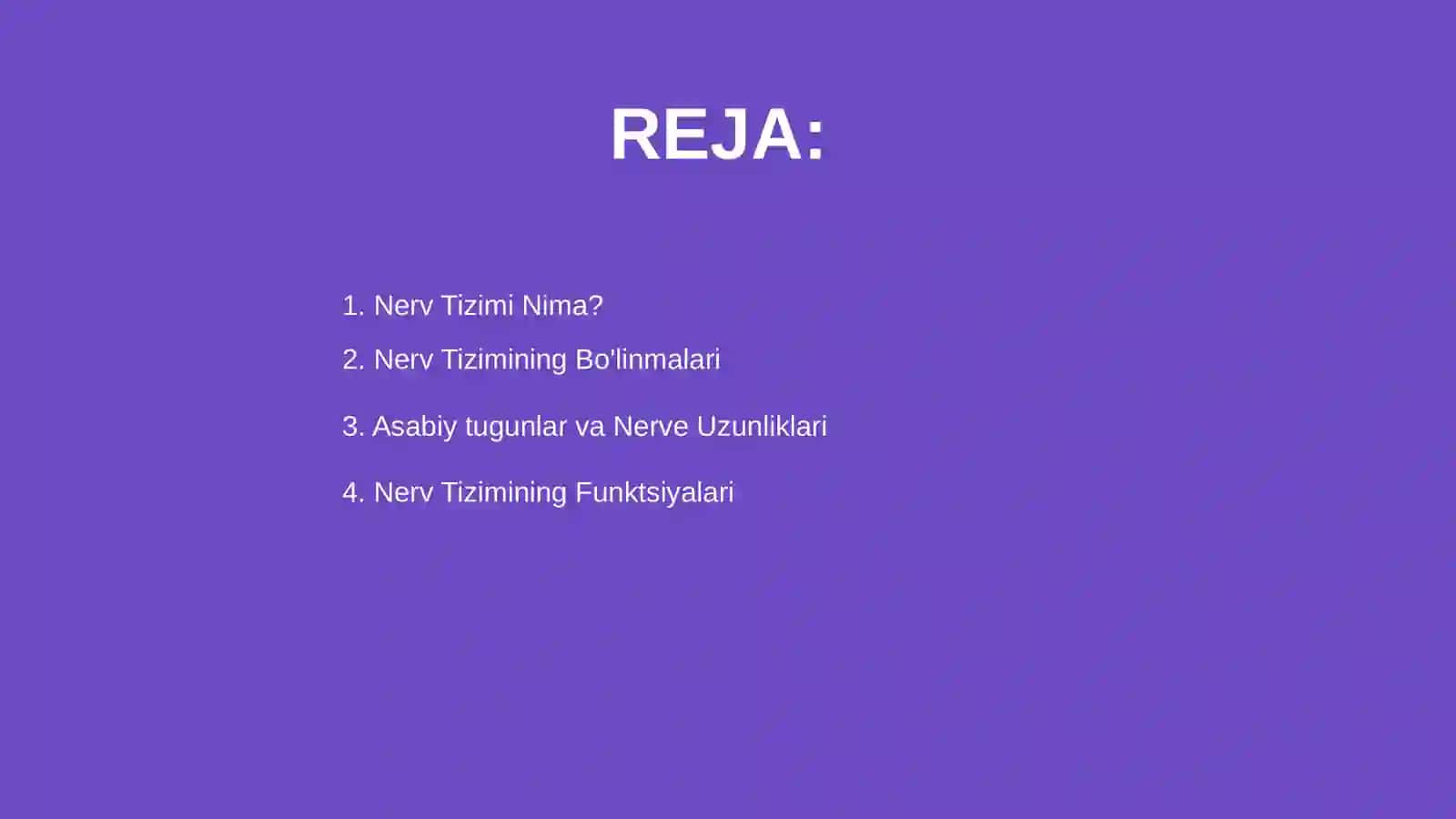Nerv sistemasi 2