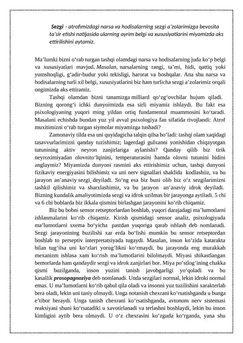 Sezgi 2