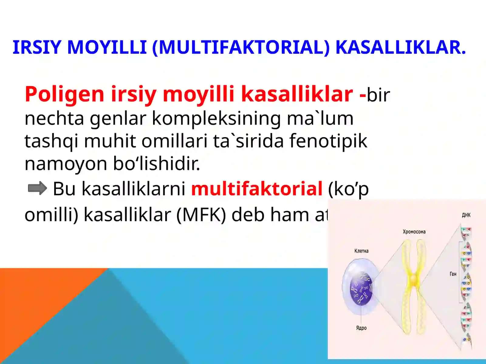 IRSIY MOYILLI (MULTIFAKTORIAL) KASALLIKLAR 2