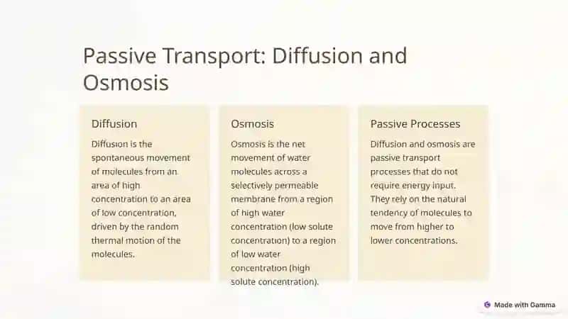 Introduction to Transport Processes in the Cell 2