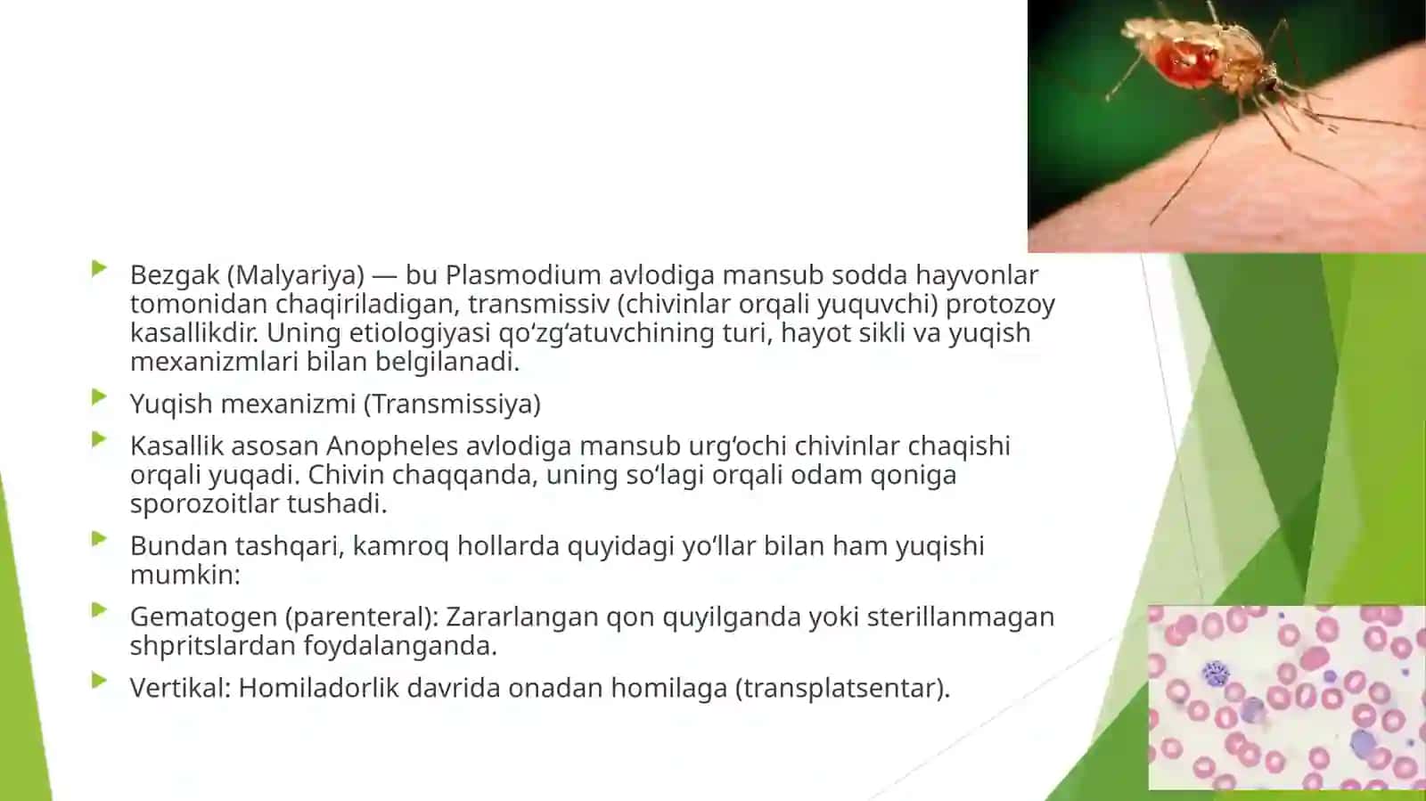 Bezgak 2
