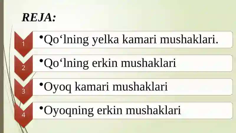 QO‘L VA OYOQ MUSKULLARINING TUZILISHI VA JOYLASHISHI 2