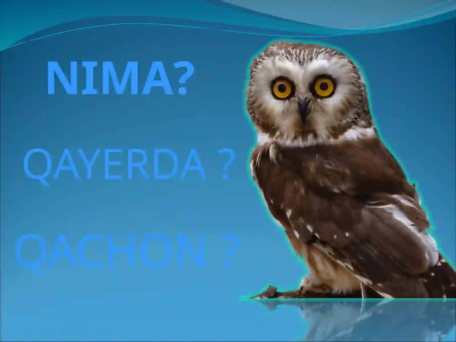 Informatika fanidan Nima? Qayerda? Qachon? intelektual o'yini 2