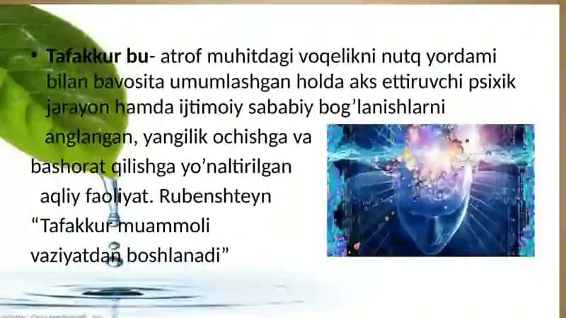 Tafakkur va nutqning psixologik  tavsifi4 2