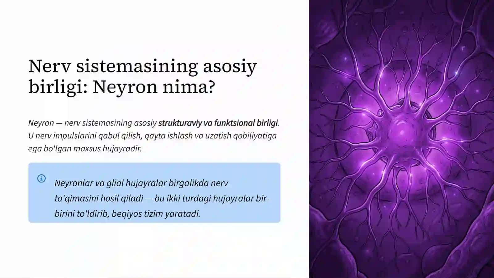 Nerv to'qimasi: Neyronlar dunyosi 2