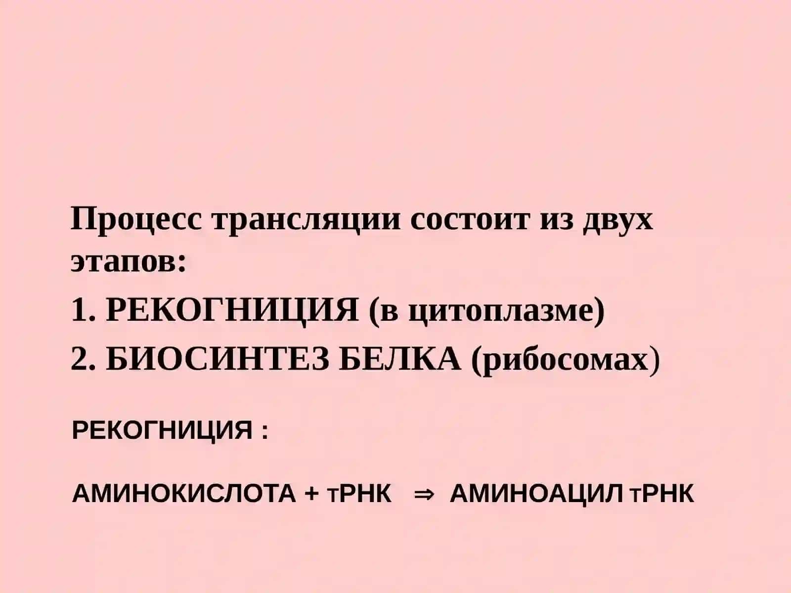 Молекулярная биология 2