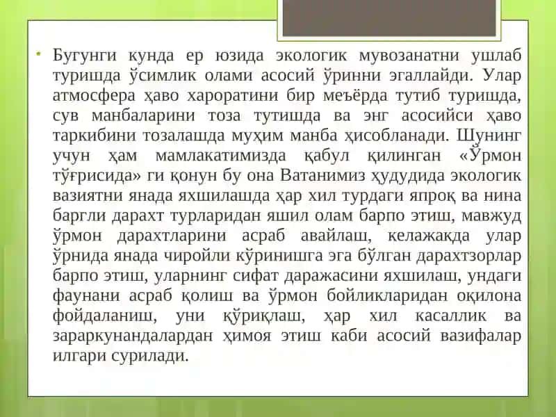 Ўрмон ҳақида тушунча 2