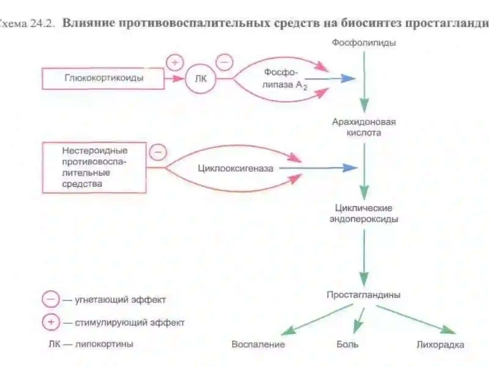 Яллигланишга карши воситалар 2
