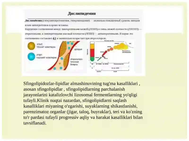 Sfingolipidozlar 2
