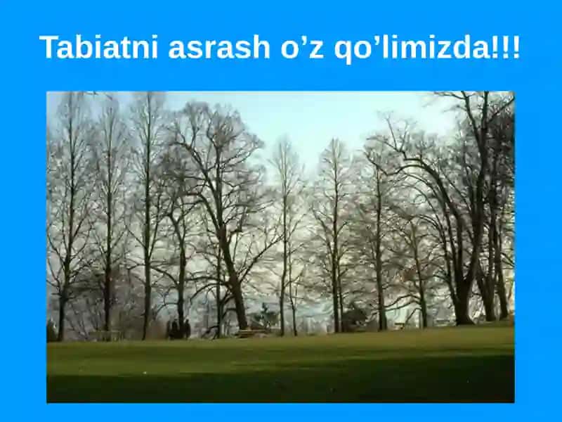 Табиат ва жамият ўртасидаги муносабатлар 2