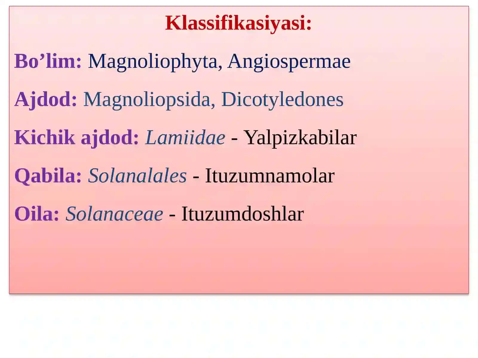 Ituzumdoshlar oilasi-Solanaceae 2