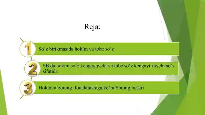 Hokim a’zoning ifodalanishiga ko‘ra uning turlari 2