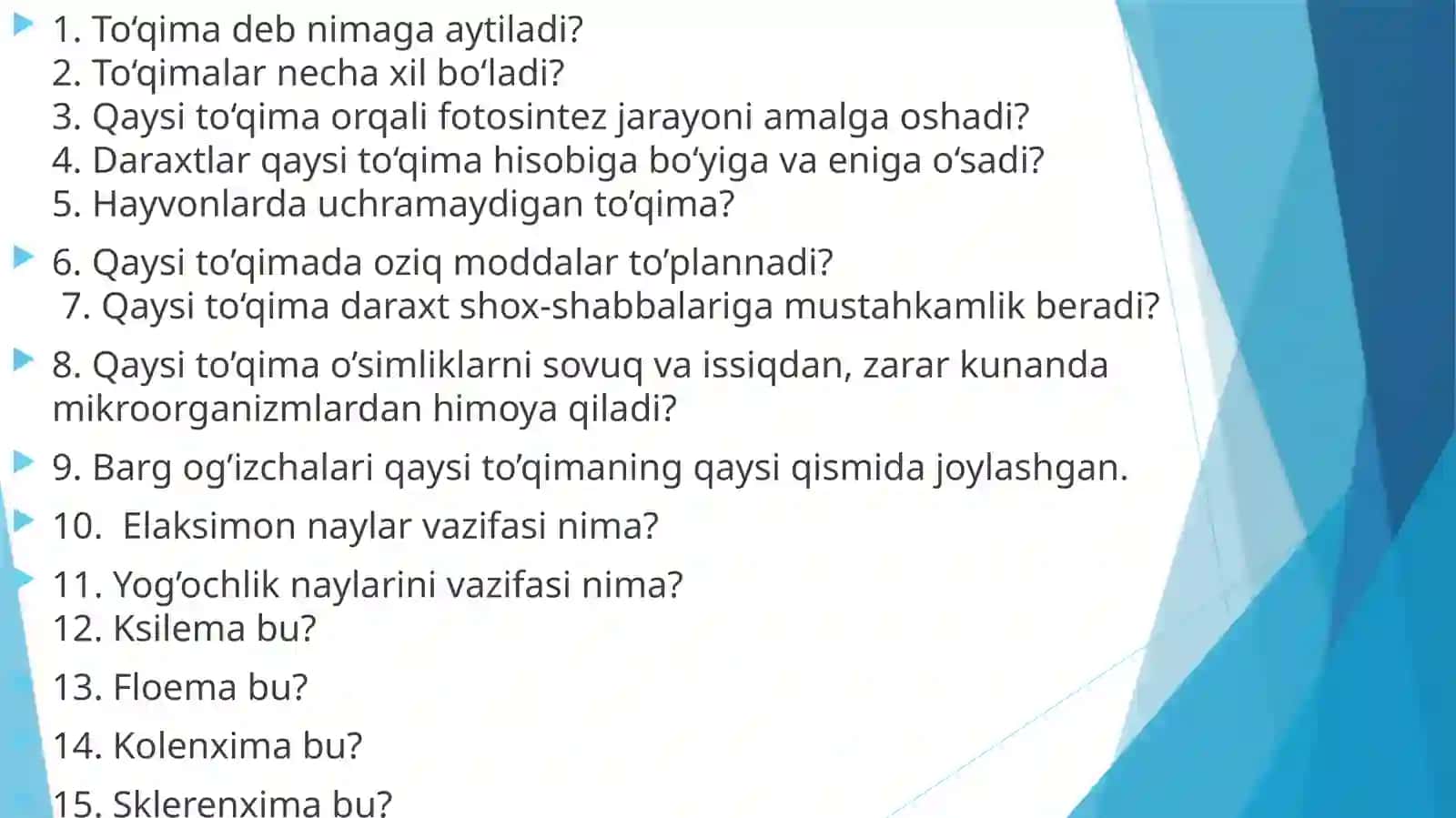 O’simlik to’qimalari 2