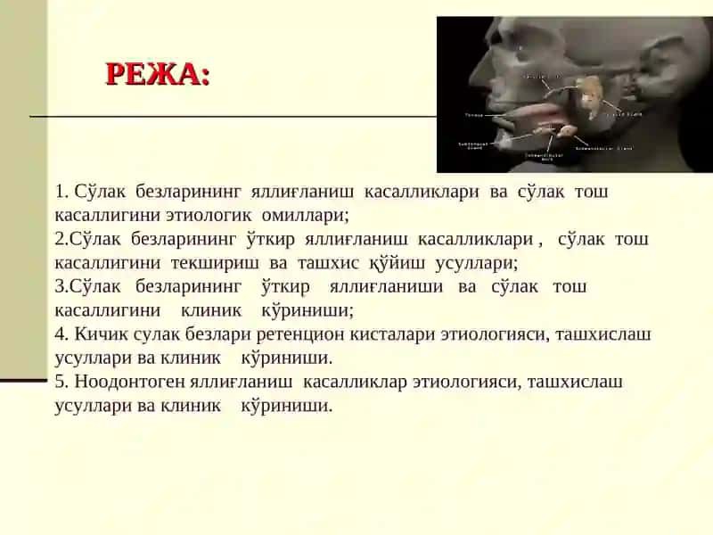 СЎЛАК БЕЗЛАРИНИНГ ЯЛЛИҒЛАНИШ КАСАЛЛИКЛАРИ 2
