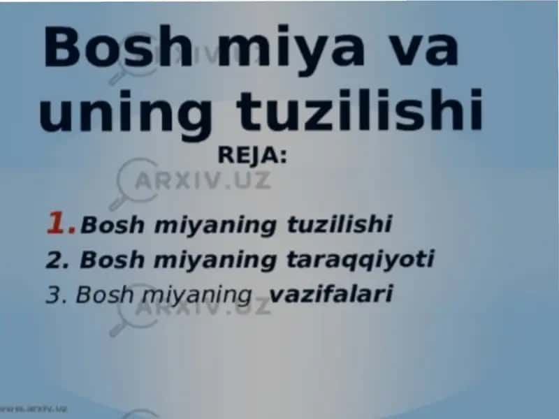 Bosh miya travmasi 2