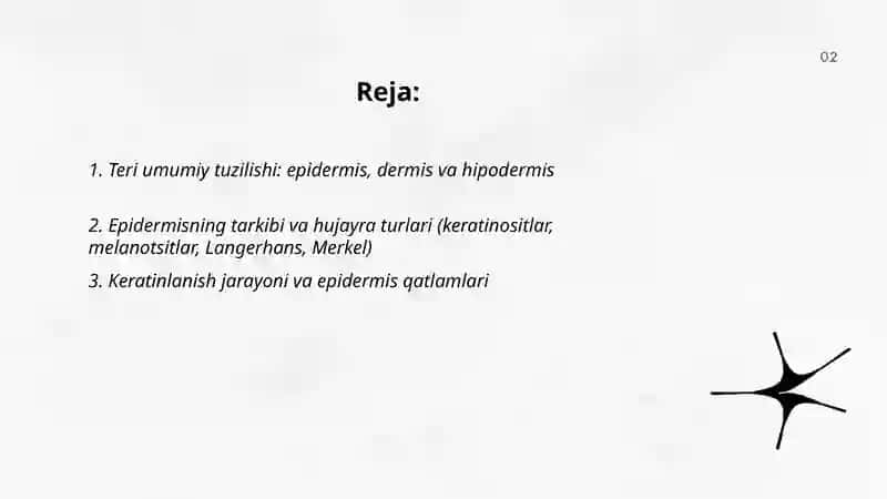 Teri va uning hosilalari tuzilishi va vazifalari 2
