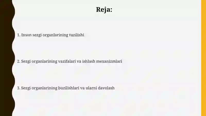 Insonning sezgi organlari 2