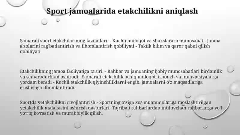Sport Komandalarida Liderlik Masalasi 2