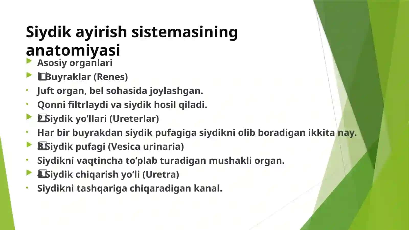 Siydik ayirish tizimi xavfsiz o'sma kasalligi 2
