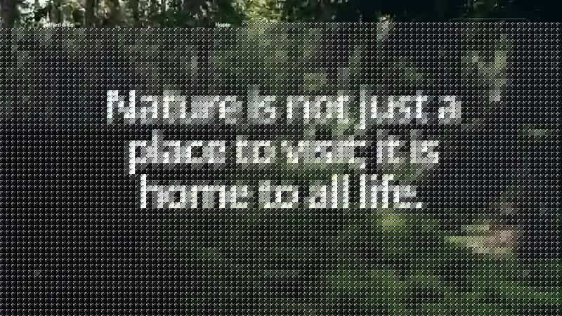 Nature 2