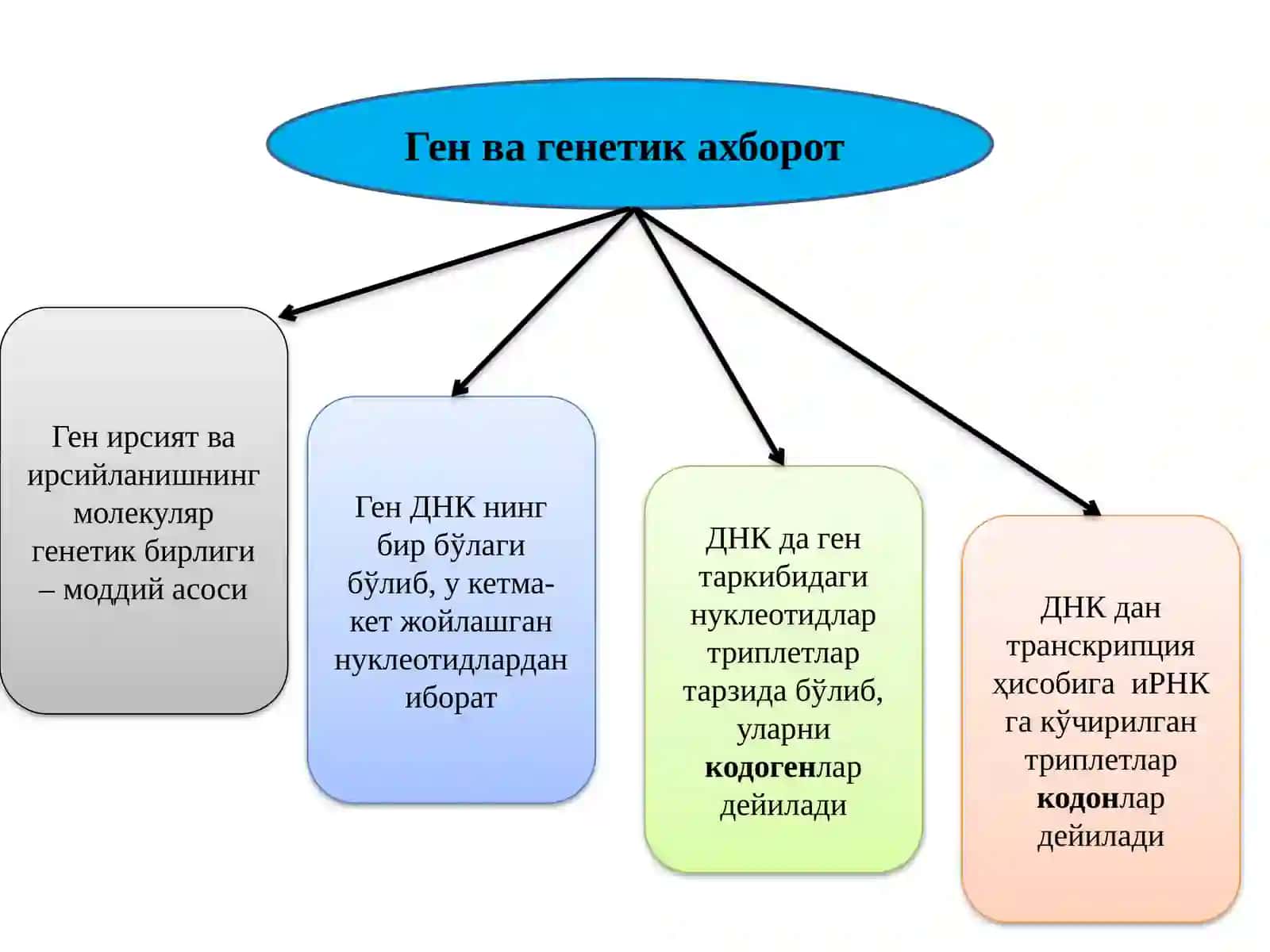ТИББИЙ БИОЛОГИЯ ВА ГЕНЕТИКА 2