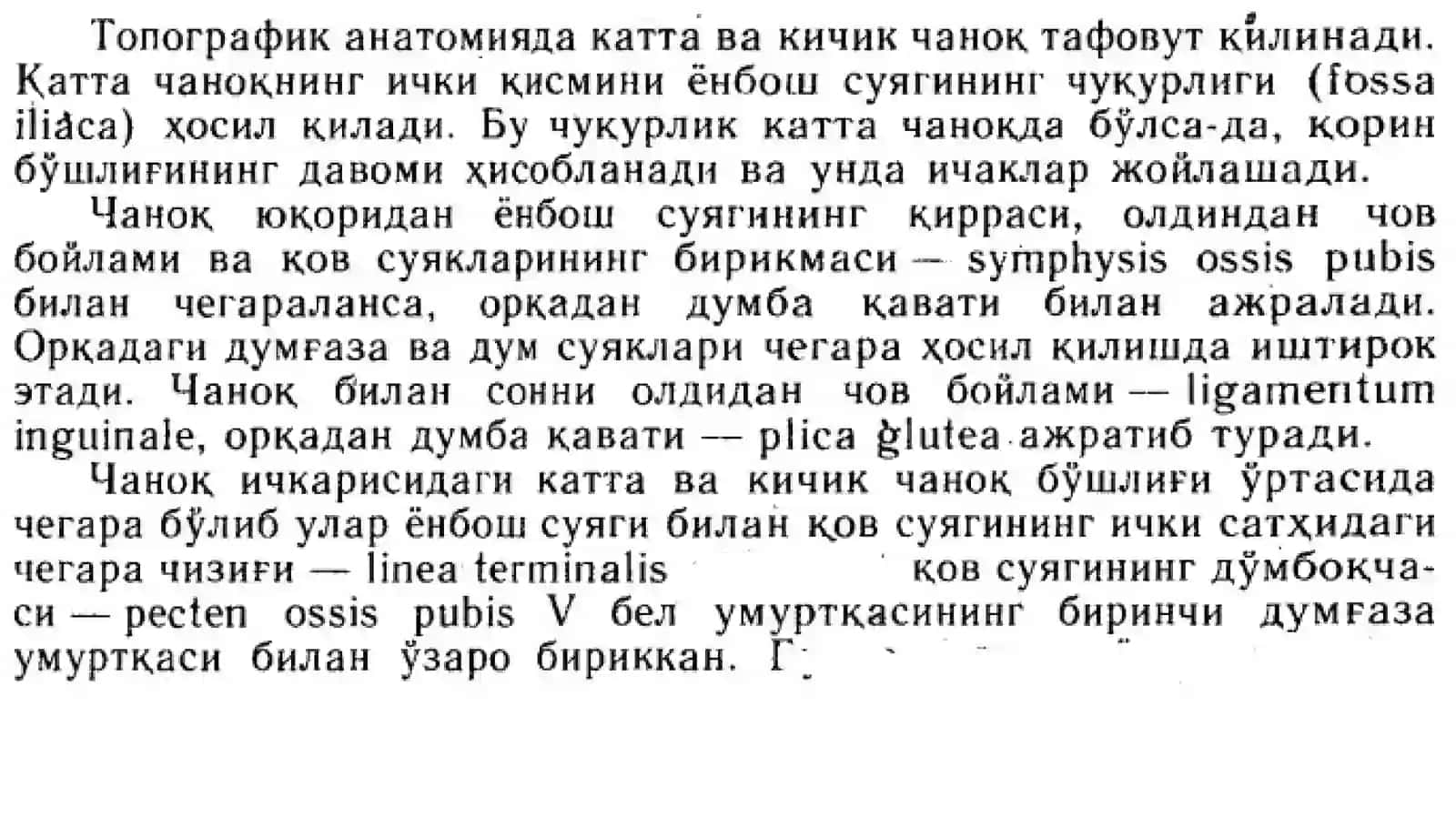 Тосваоралиқ соха клиник анатомияси 2