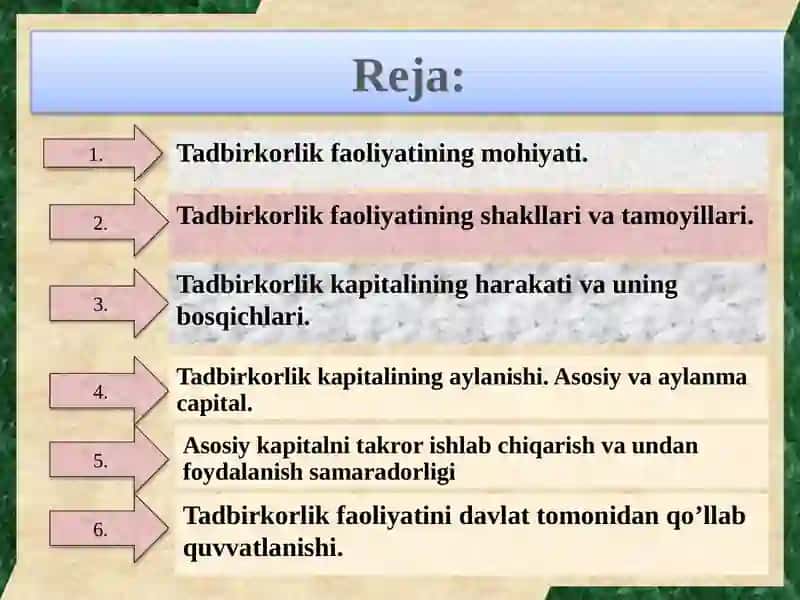 Tadbirkorlik Faoliyatining Mohiyati 2