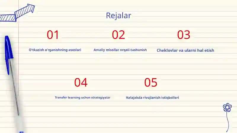 Transfer learningning amaliy qo'llanilishi va cheklovlari 2
