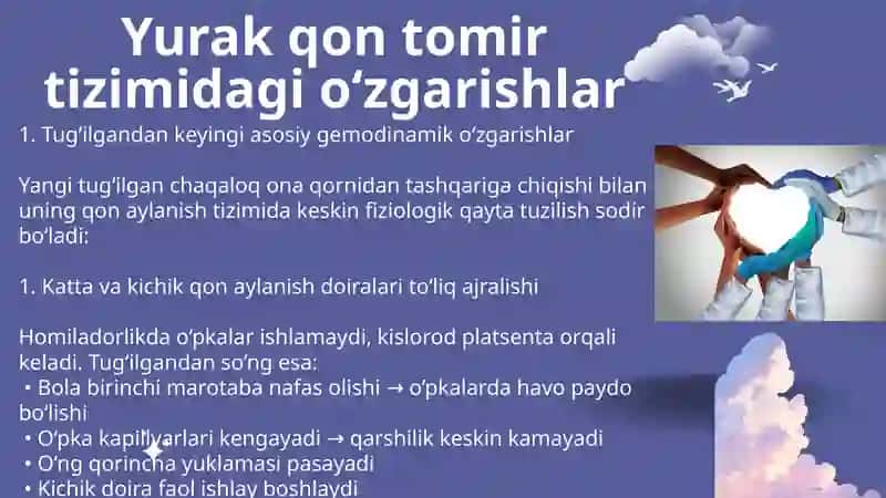 Yurak qon tomir tizimidagi o'zgarishlar 2