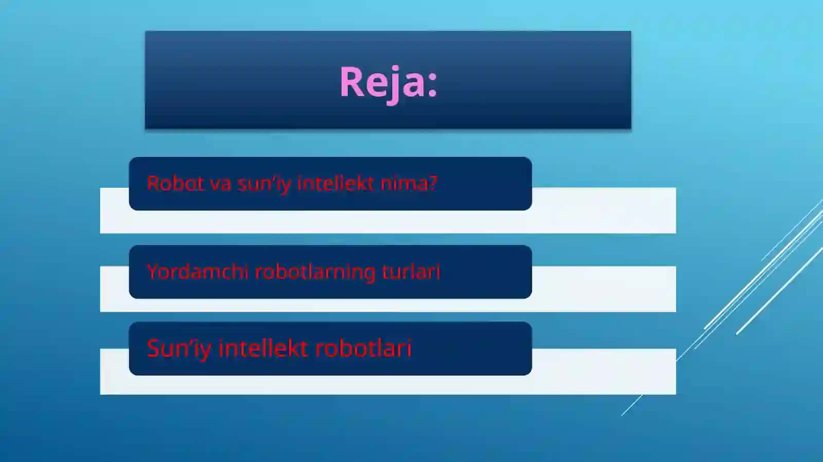 YORDAMCHI ROBOTLAR. SUN’IY INTELLEKT ODAMLARGA QANDAY YORDAM BERADI? 2