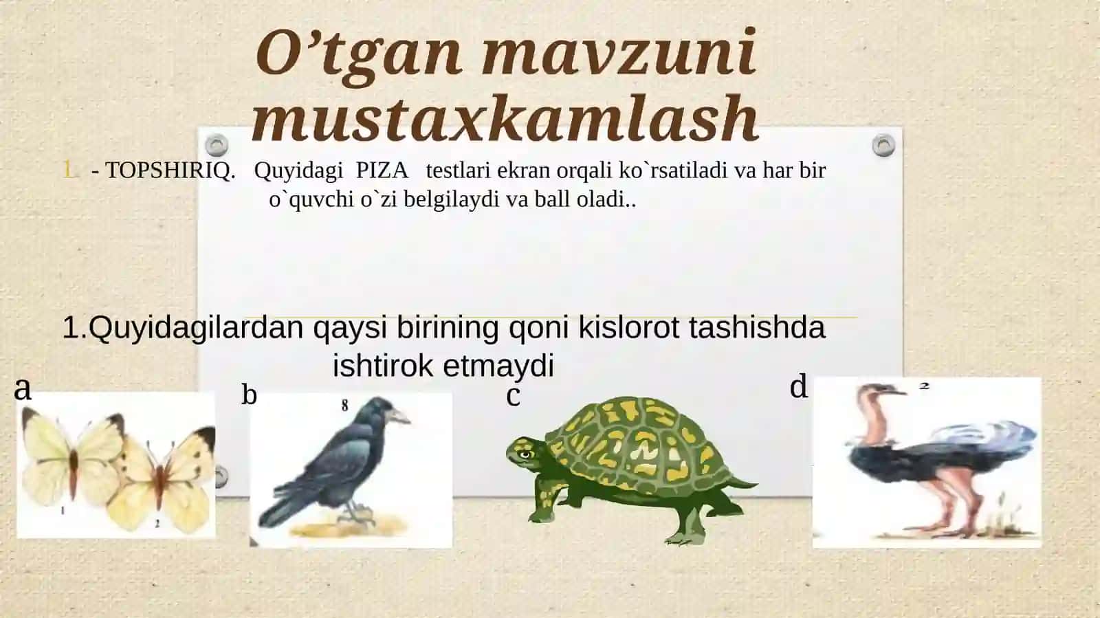 PARDAQANOTLILAR TURKUMI 2