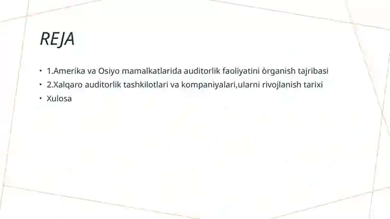Auditorlik faoliyatini tashkil etishda xorij tajribasi 2