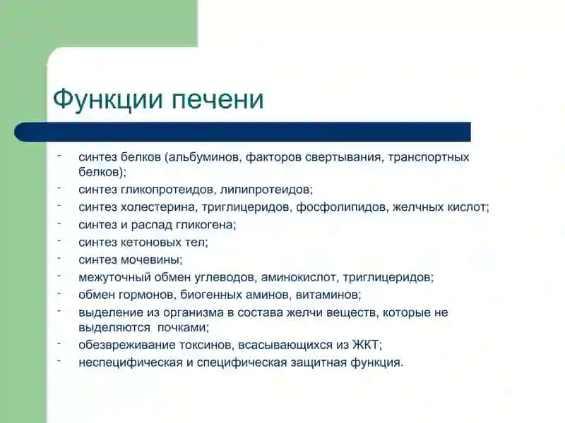 Патофизиология печени 2