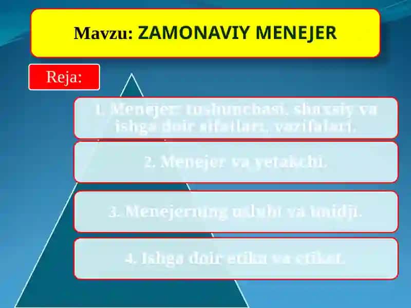 Menejer 2