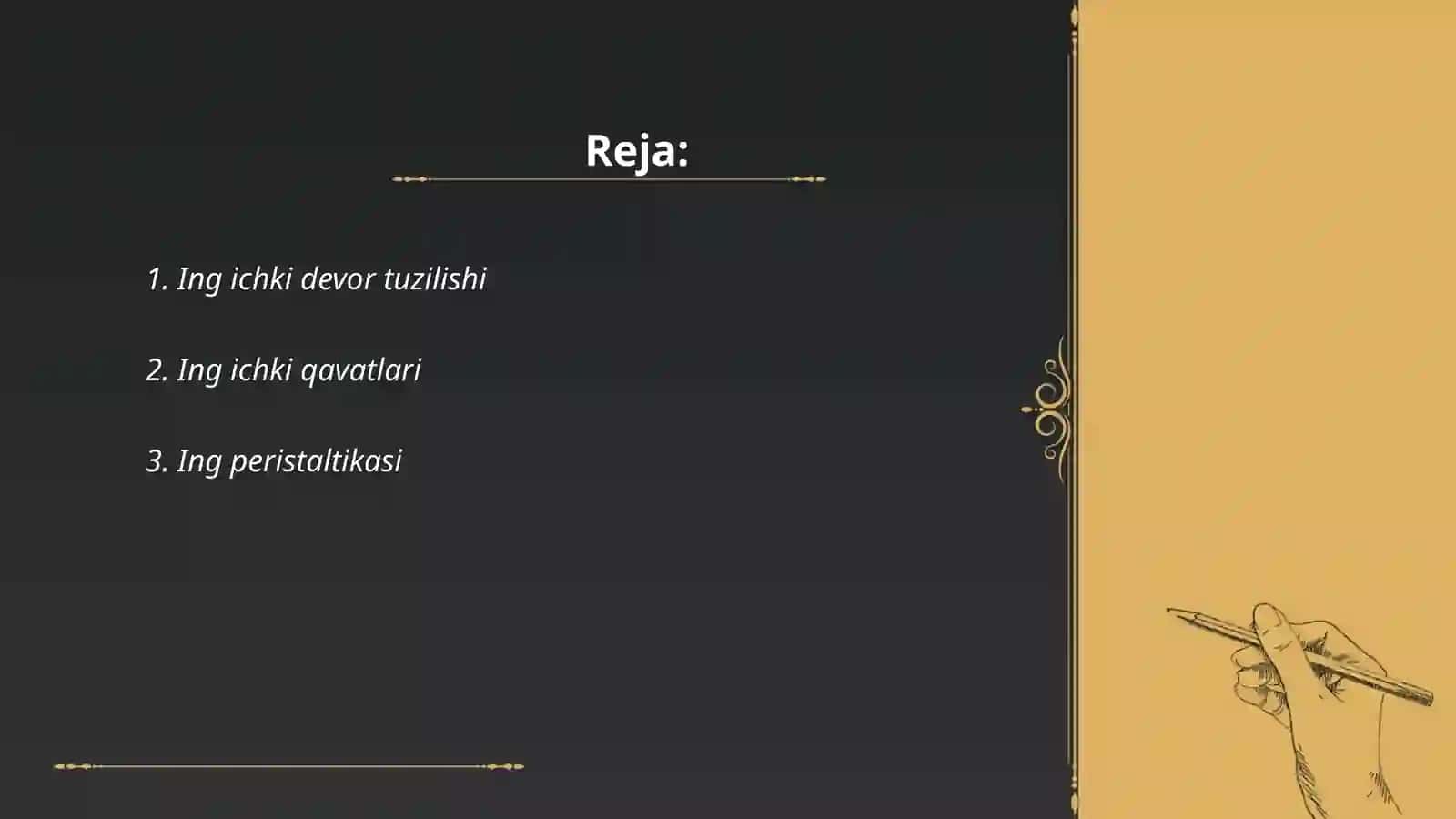 Ingichka ichak tuzilishi 2