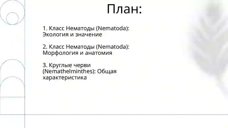 Круглые Черви (Nemathelminthes) 2