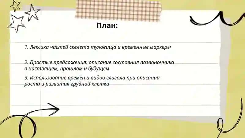 Скелет туловища Выражение временных отношения в простом и сложном преложении 2