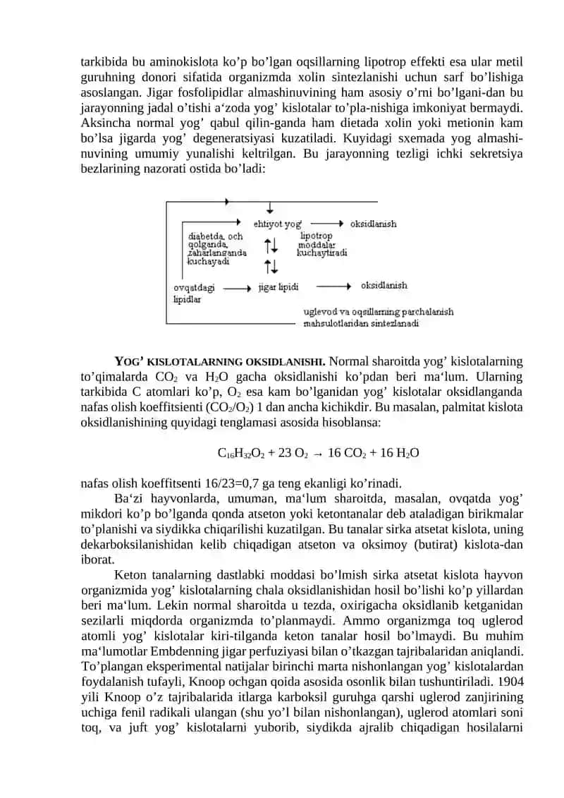 12-Mavzu. Lipidlar almashinuvi 2