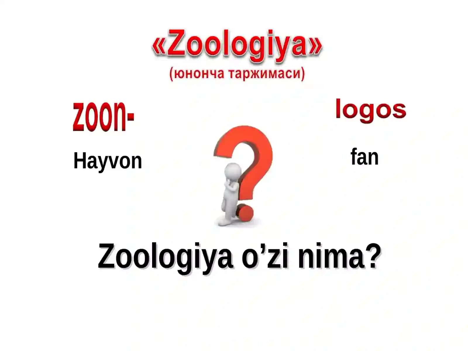 Zoologiya 2