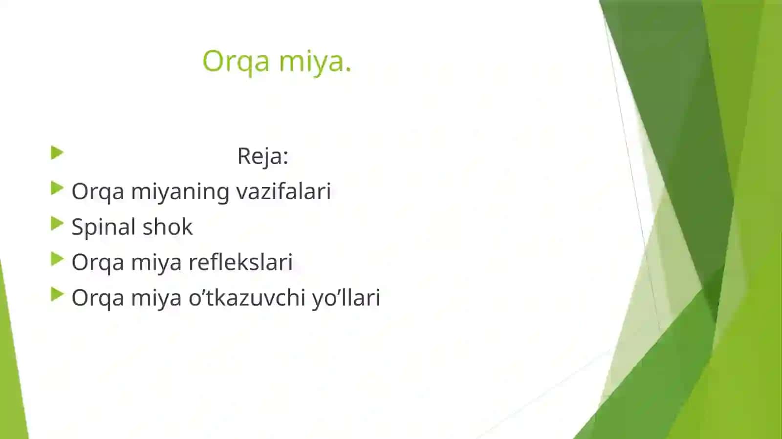 Orqamiyaning vazifalari 2