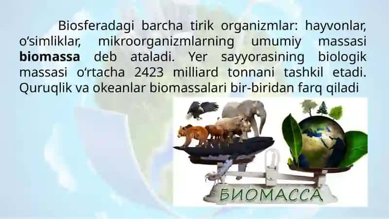 Biosfera biomassasi 2