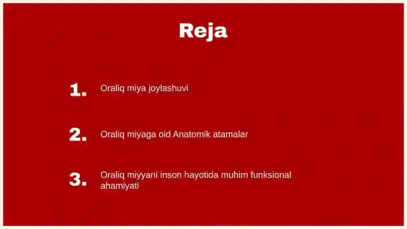 Oraliq miya va uni anatomik funksiyalari 2