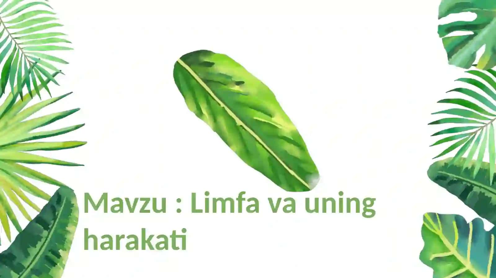 Limfa va uning harakati 2