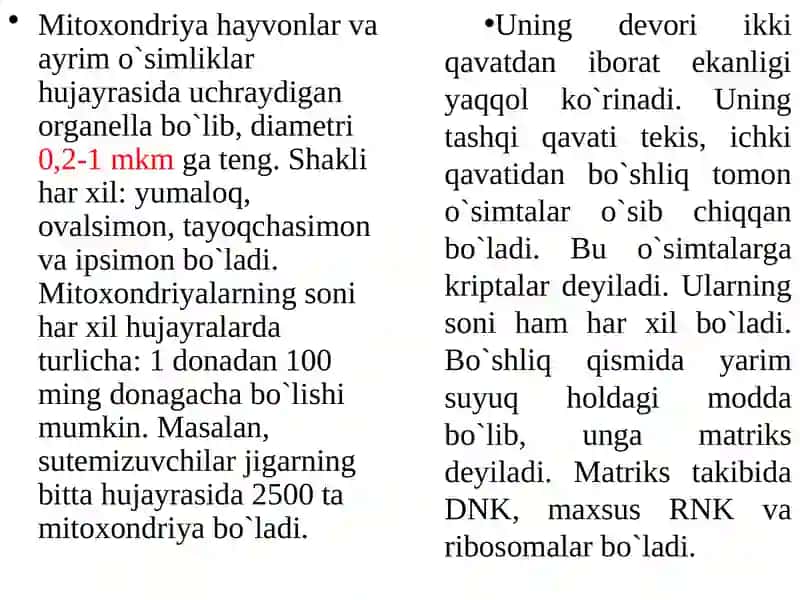 Mitoxondriyalarning tuzilishi 2