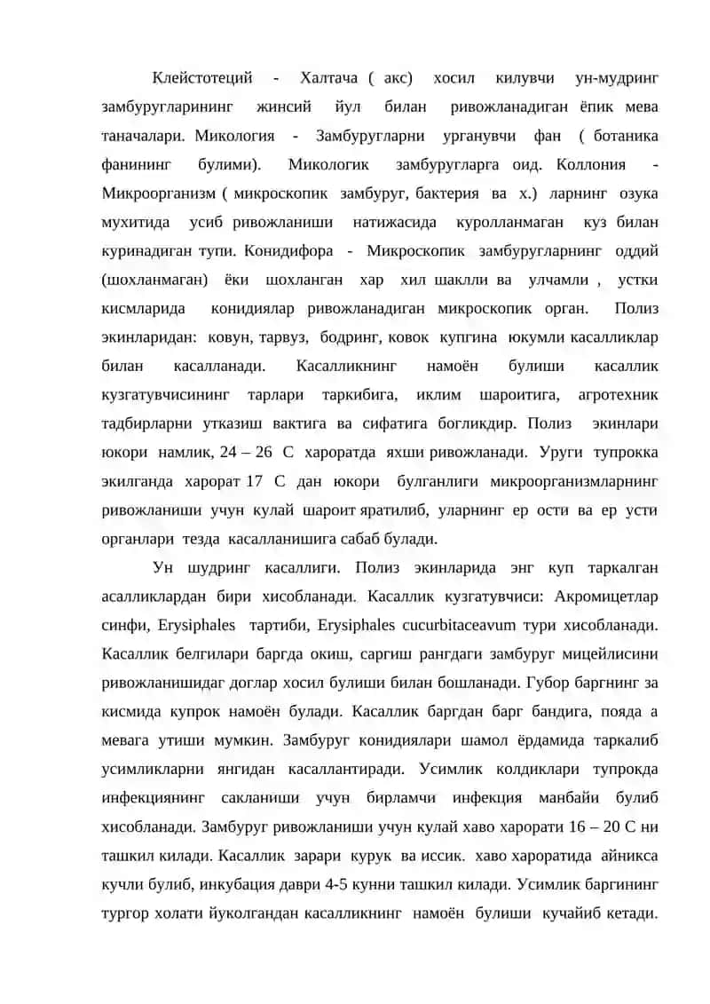 Полиз экинларининг касалликлари 2